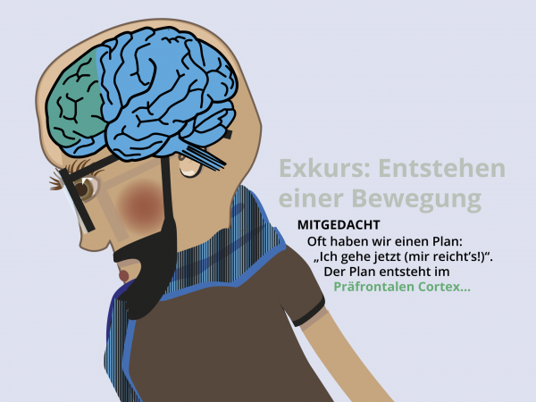 Entstehung einer Bewegung / Bewegungsplanung