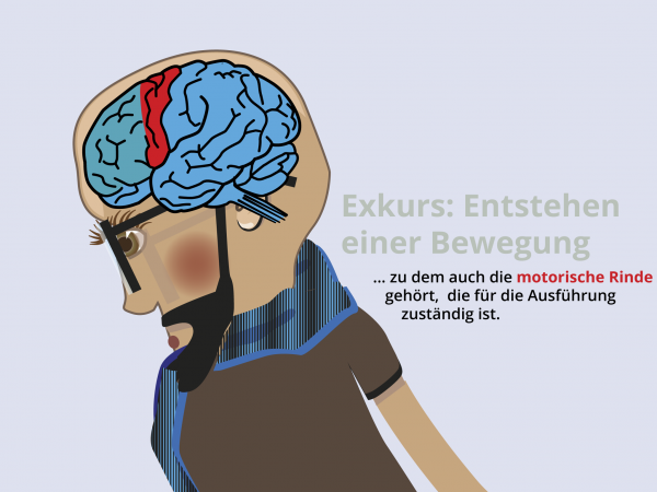 Entstehung einer Bewegung / Motorische Rinde 