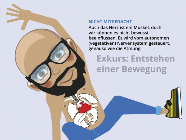 Entstehung einer Bewegung / Herzmuskel