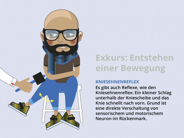 Entstehung einer Bewegung / Kniesehnenreflex