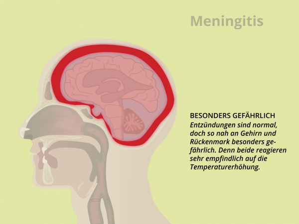 Meningitis / Gefahr