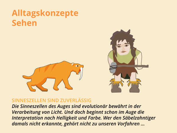 Alltagskonzepte Sehen / Evolution