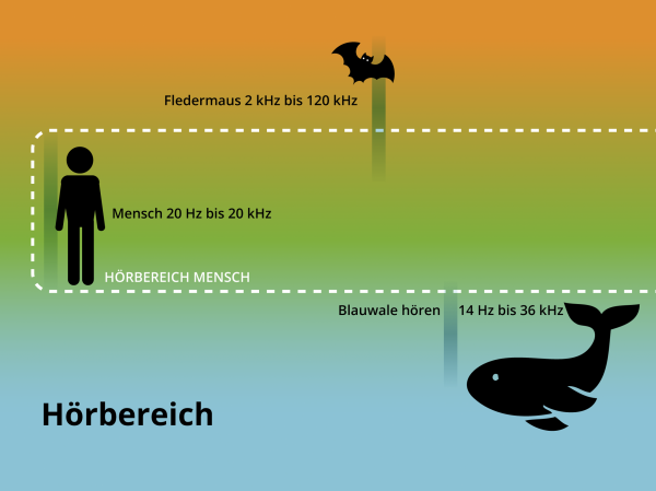 Der Hörbereich