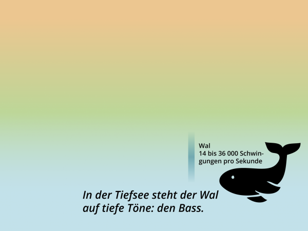 Der Hörbereich / Wal