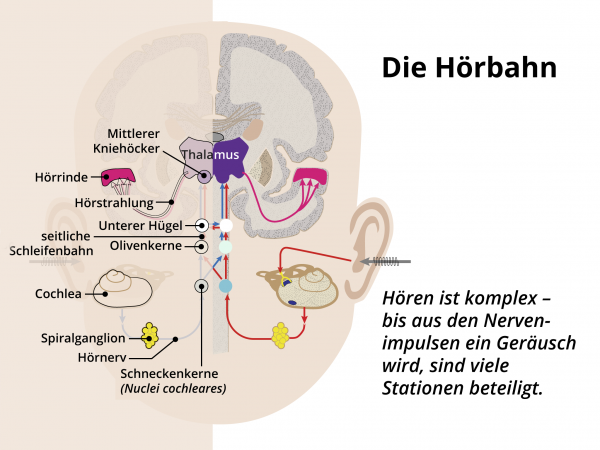 Hörbahn 