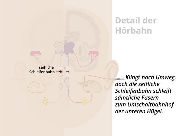 Hörbahn  / Schleifenbahn