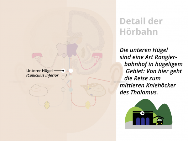 Hörbahn  / Untere Hügel