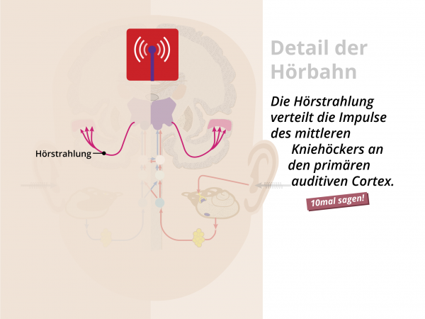 Hörbahn  / Hörstrahlung