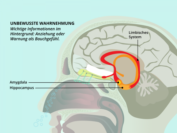Unbewusste Geruchswahrnehmung